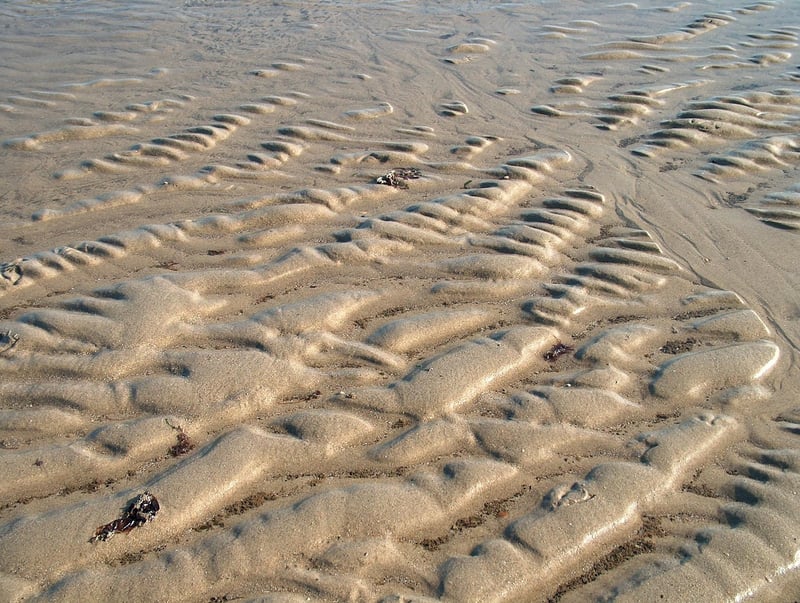 Planks Image