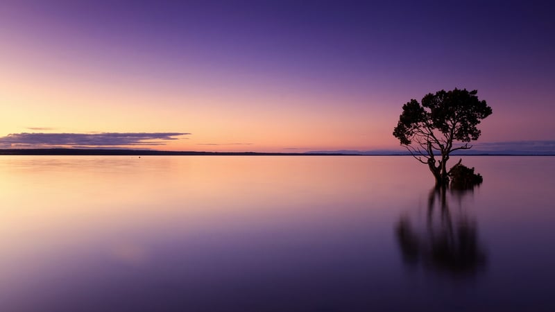 Emotional Wellbeing